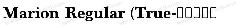 Marion Regular (True字体转换